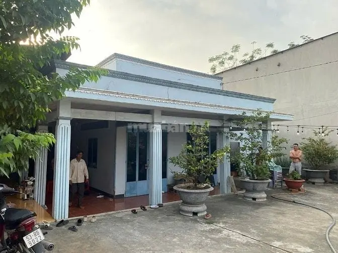 6055910 ảnh đại diện 1
