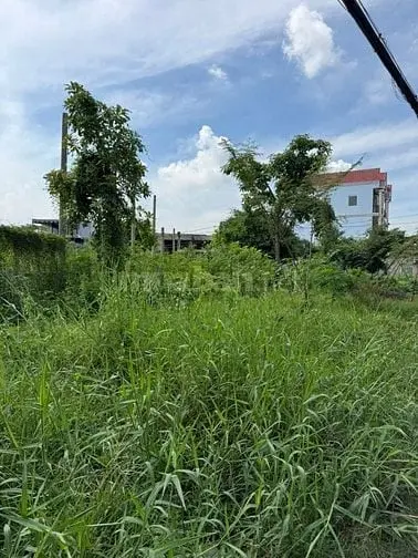 Chính Chủ Bán Lô Đất Mt Đường Vĩnh Lộc, Xã Vĩnh Lộc B, Bình Chánh, Tp.
