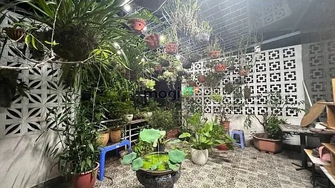 💥P.lô Vỉa Hè Chính Trung - Trâu Quỳ 4 Tầng*100M Biệt Thự Vừa Ở+ Kd