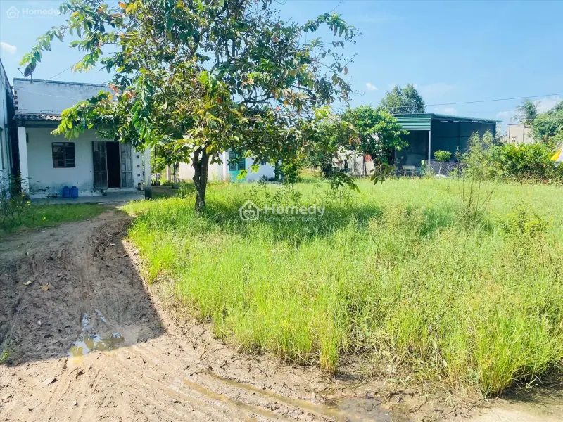 Bán 519M2 Đất Thổ Cư Hẻm Nguyễn Minh Châu, Lagi Giá Ngộp Chỉ 1.5 Tỷ