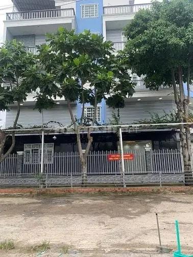 6056707 ảnh đại diện 1