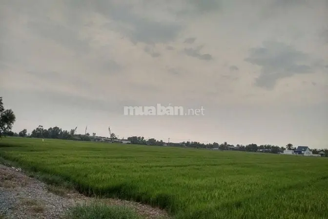 Bán Đất Chính Chủ - Dự Án Đt 822B Đến Đường Mòn Hồ Chính Minh