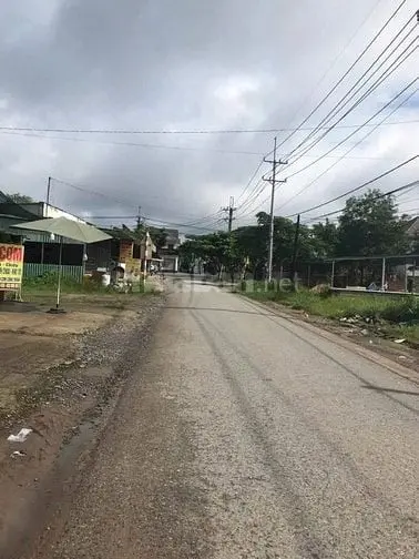 6056731 ảnh đại diện 1