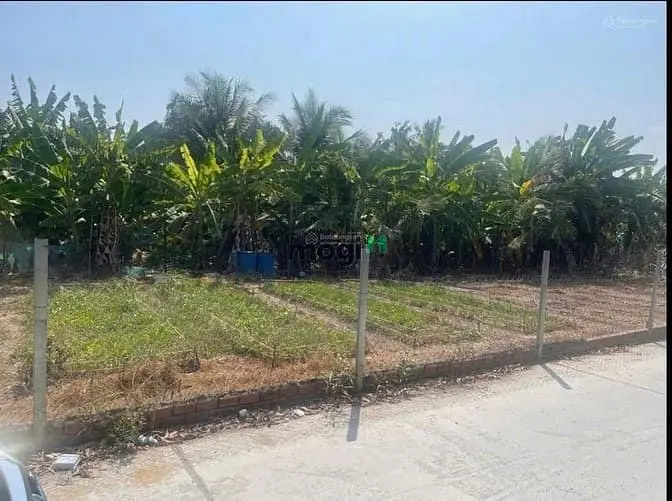 Bán Gấp Đất Nhà Vườn Thổ Phú Hữu Nhơn Trạch Giá Rẻ, Shr Chính Chủ.gọi