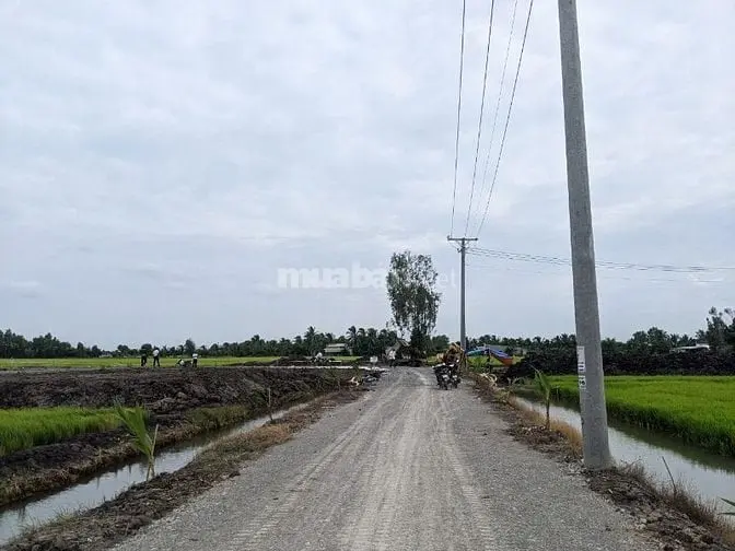 Bán Đất Chính Chủ - Dự Án Đt 822B Đến Đường Mòn Hồ Chính Minh