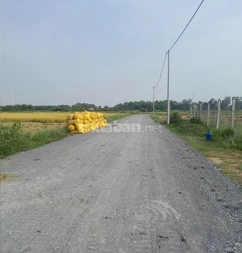 Bán 1500M2 Đất Thổ Cư, Xã Tân Phú Trung, Củ Chi, Gần Bệnh Viện Xuyên Á