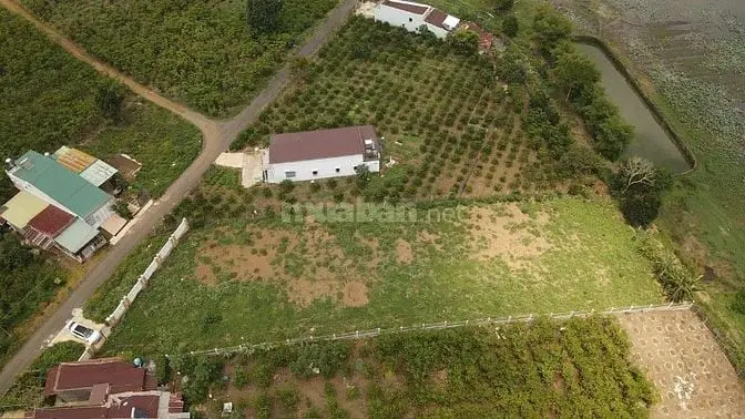 🌿 Bán Đất Biệt Thự Nghỉ Dưỡng View Hồ Lộc Thanh – Lộc Phát, Bảo Lộc