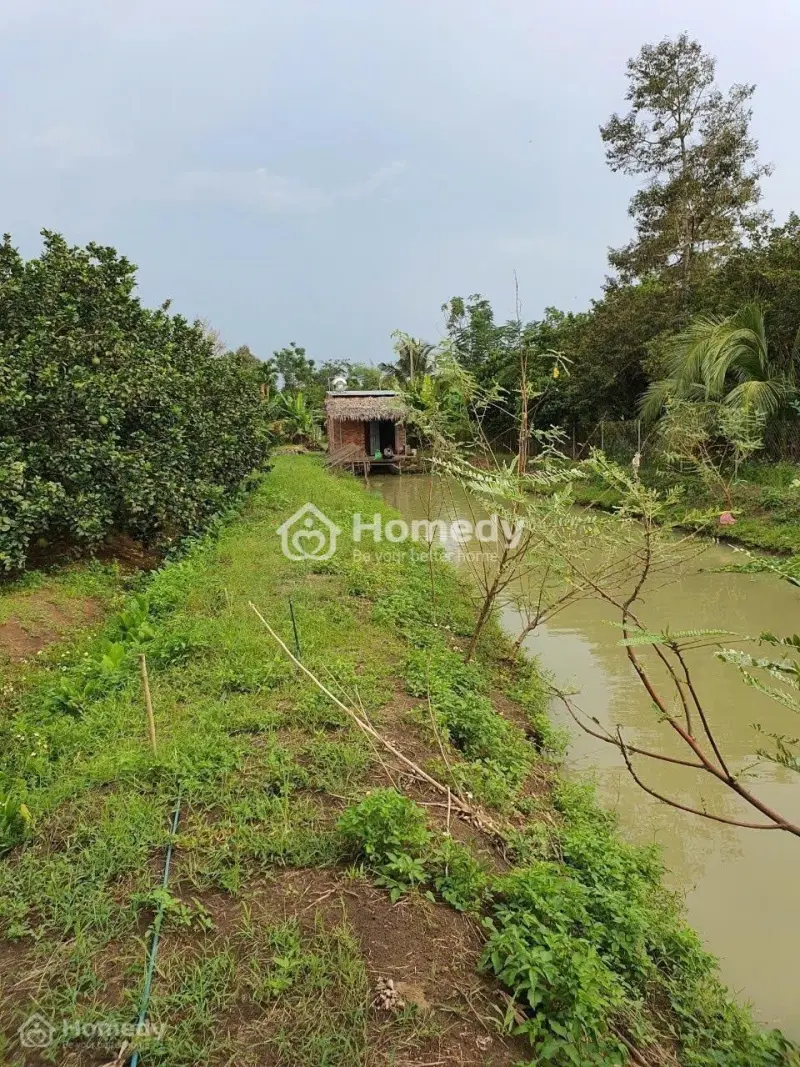 Sở Hữu Ngay Đất Vườn Đồng Nai Rộng 4435M² Chỉ Với 4,2 Tỷ Đồng Ib 0931.275.***