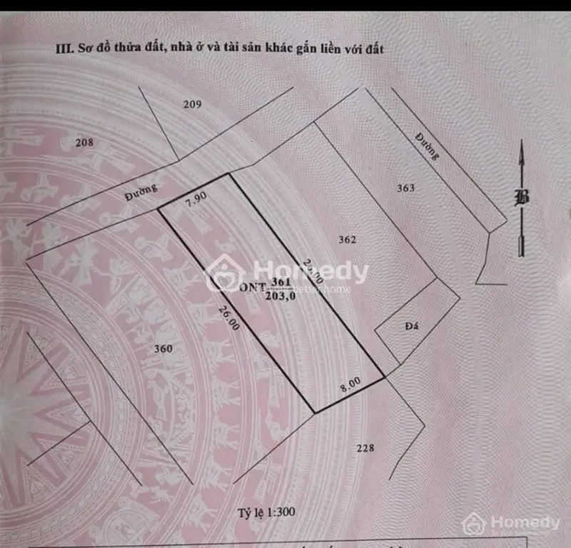 Nhà Đẹp Tri Thủy 203M², Gần Trường – Chợ – Biển, Giá Rẻ Chỉ 1,5 Tỷ