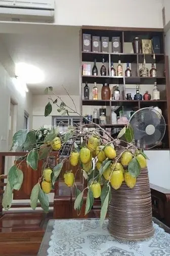 6056853 ảnh đại diện 1