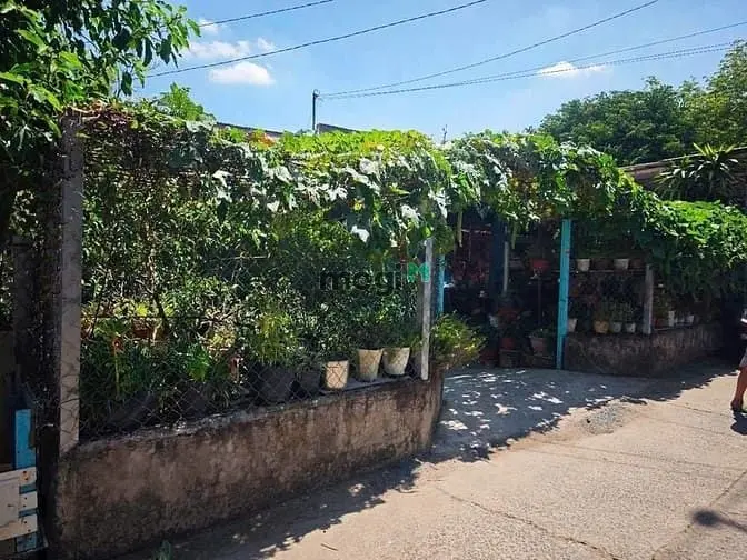 Bán Gấp Đất Thổ Nhà Vườn Long Tân Nhơn Trạch,Vd3,Oto,Giá Rẻ 3,5Ty/422M