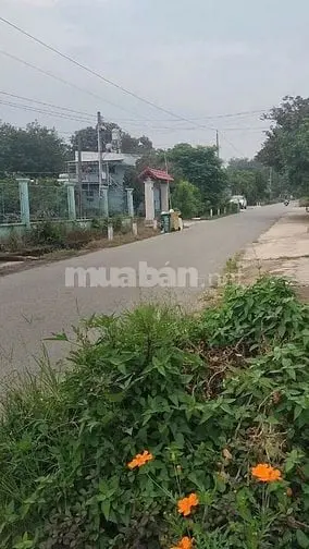 Chính Chủ Bán Đất Bắc Tân Uyên, Bình Dương Giá 3,6 Tỷ