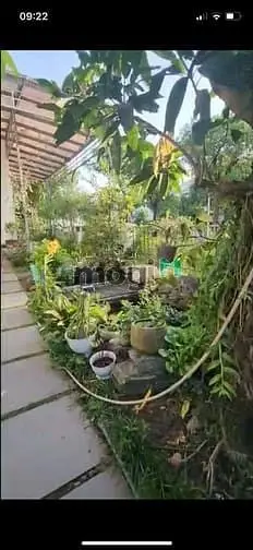 Cần Bán Biệt Thự Căn Gốc Nine South Estates