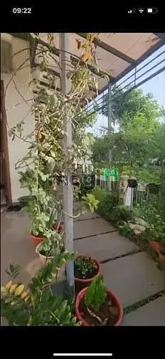 Cần Bán Biệt Thự Căn Gốc Nine South Estates