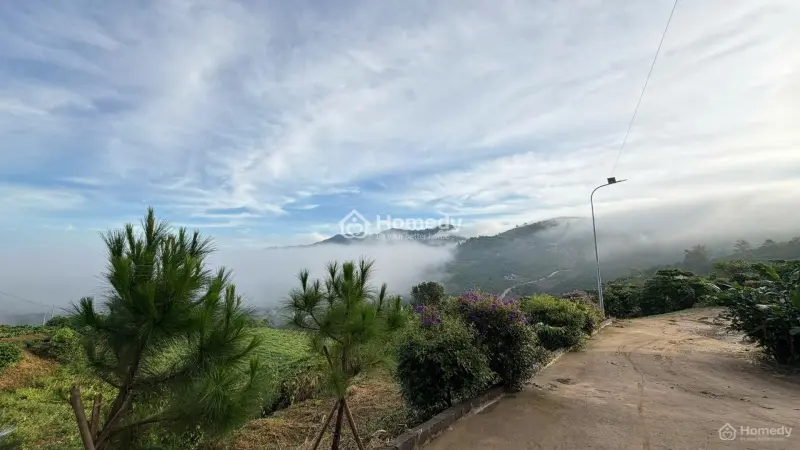 Aman Blao - Nơi Để Ở, Để Thở, Để Sống, Nơi Thiên Nhiên Nguyên Bản Được Gìn Giữ, Sẵn Sàng Pháp Lý
