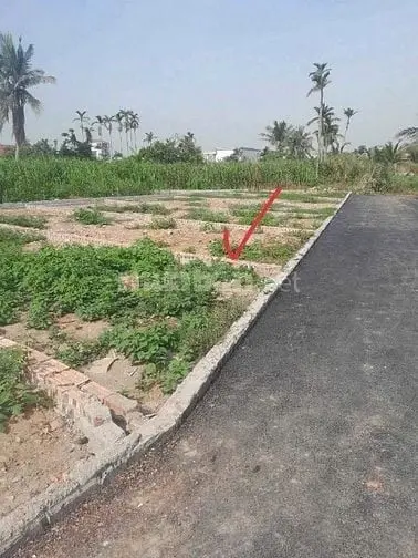 6057633 ảnh đại diện 1