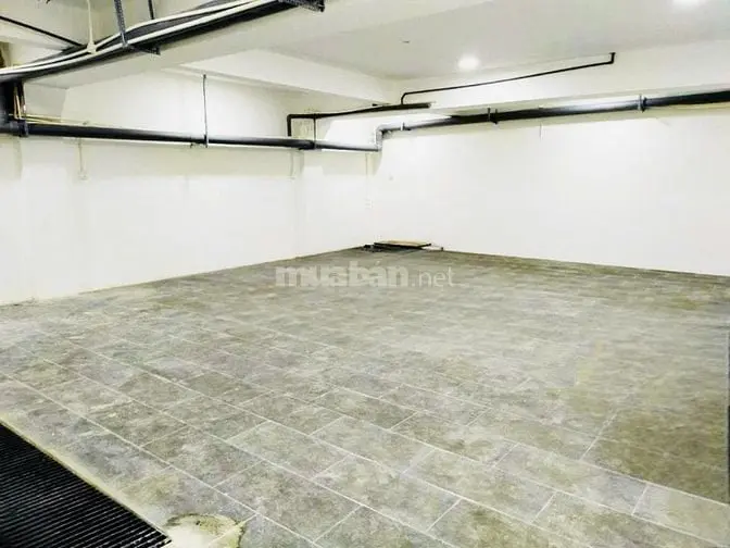 Biệt Thự Phố Khu Đường Hoa Pxl – Có Hầm, Tm - 8M X 20M – Chỉ 45