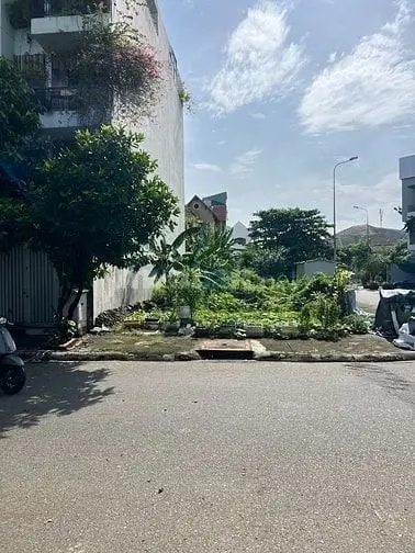 6058006 ảnh đại diện 1