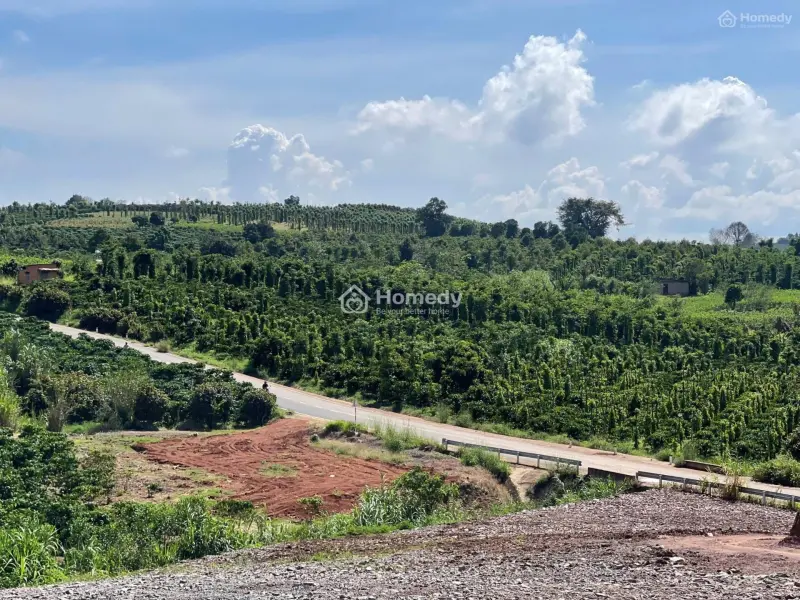 Bán 1000M2 Có 100M2 Đất Ở -Xã Tân Hà -Lân Hà -Lâm Đồng 630 Triệu -Sổ Riêng Công Chứng Nhanh Gọn