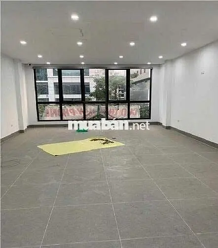 Toà Nhà 5 Lầu Có Thang Máy Sát Bên Chợ Tân Định Q3 Giá 46 Triệu