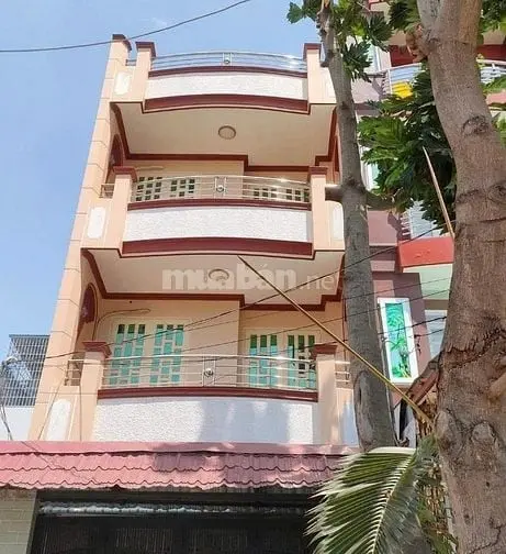 6058057 ảnh đại diện 1