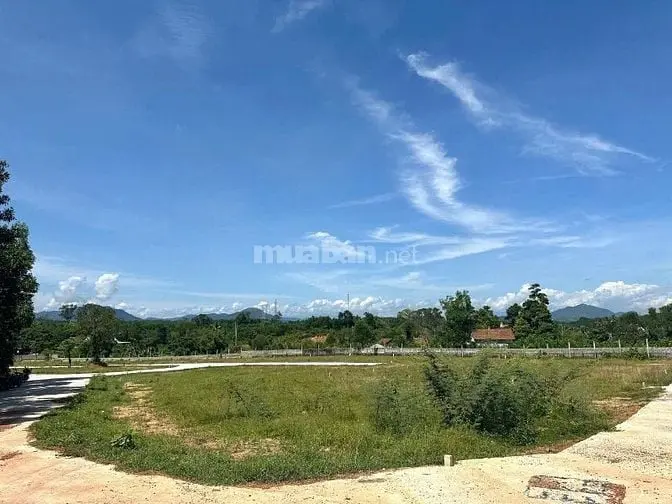 6057780 ảnh đại diện 1