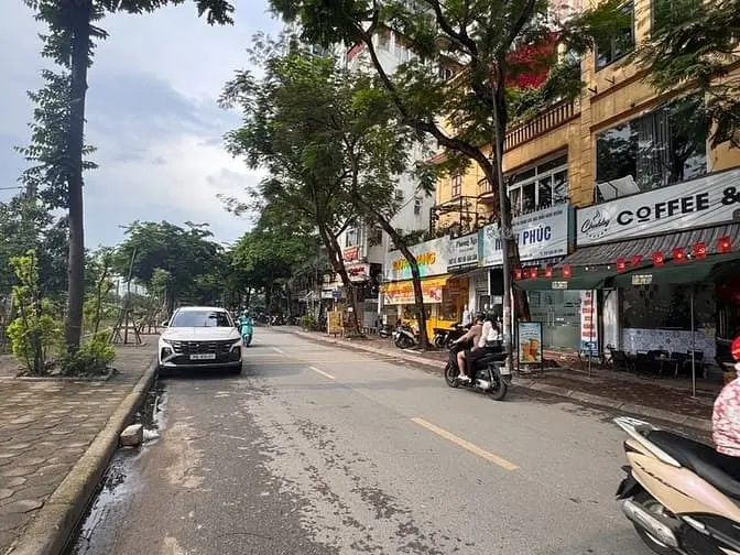 6058207 ảnh đại diện 1