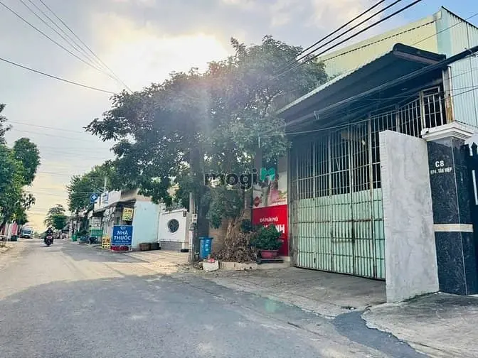 6058221 ảnh đại diện 1