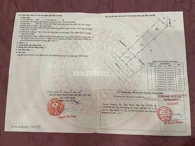 Chính Chủ Bán Nhà Mặt Tiền Tỉnh Lộ 2, Củ Chi
