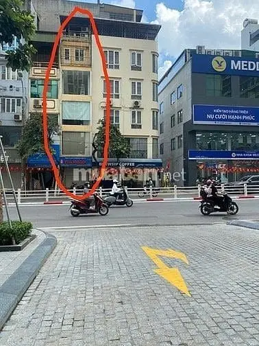 6057834 ảnh đại diện 1