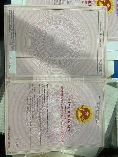 6058019 ảnh đại diện 1
