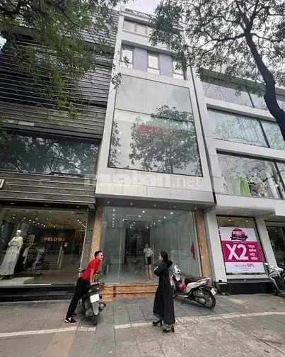 6058131 ảnh đại diện 1