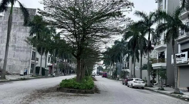 Bán Đất Phân Lô Tái Định Cư Kiêu Kỵ/Gia Lâm,Hà Nội 80M2 Mt4.5M Đường 11M, Cực Thoáng.