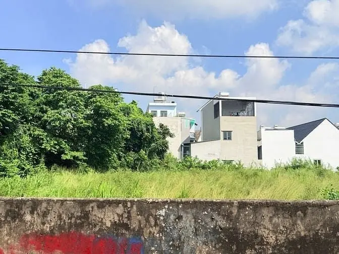6058242 ảnh đại diện 1