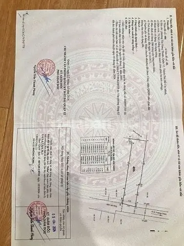 6057863 ảnh đại diện 1