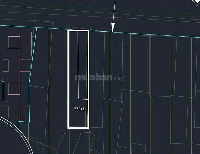 6058201 ảnh đại diện 1