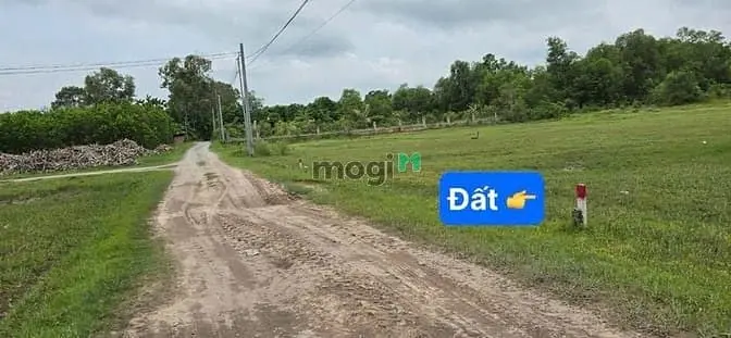 Đất Thổ Nhà Vườn Nhơn Trạch Giá Rẻ 4,8Ty/1050M,Gần 25C, Shr Chính Chủ