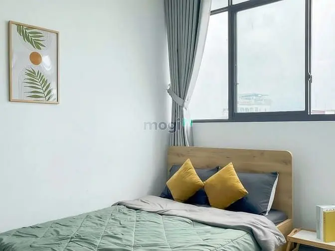 6058174 ảnh đại diện 1