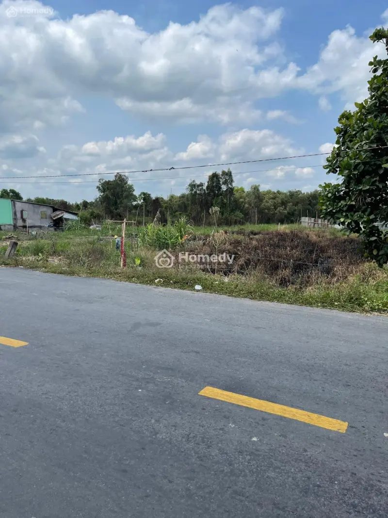 6058066 ảnh đại diện 1
