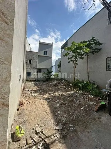 6058090 ảnh đại diện 1