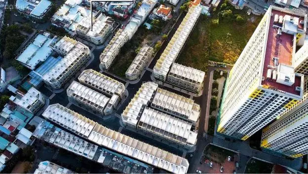 6058011 ảnh đại diện 1