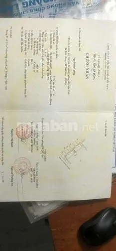 6057968 ảnh đại diện 1