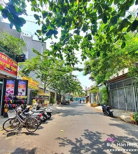 6058101 ảnh đại diện 1
