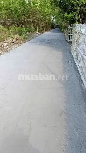 6057902 ảnh đại diện 1