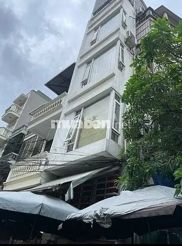 6058056 ảnh đại diện 1