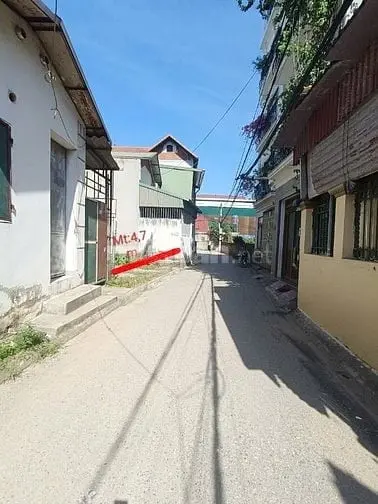 6058091 ảnh đại diện 1