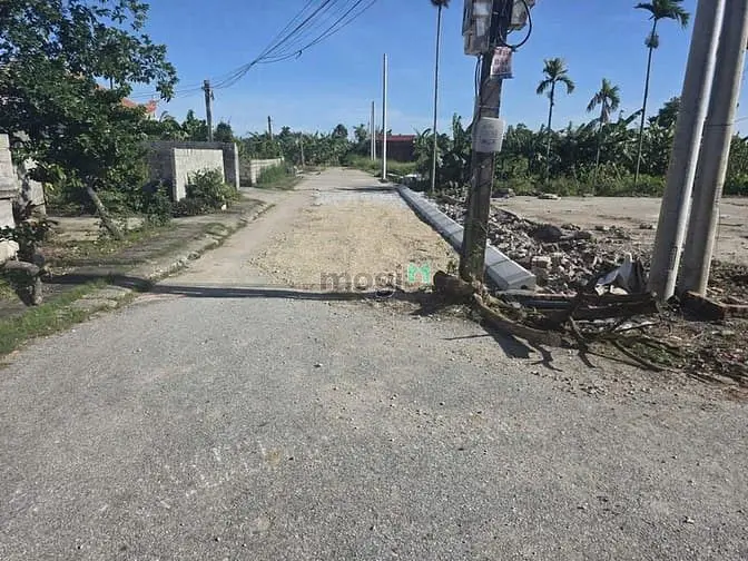 6057753 ảnh đại diện 1