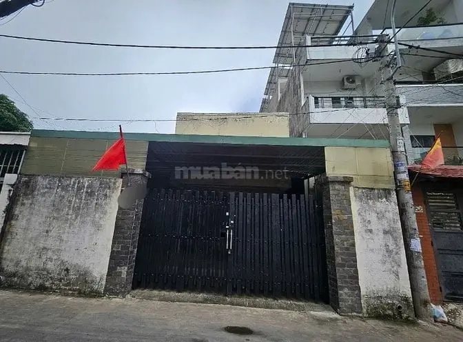 6058062 ảnh đại diện 1