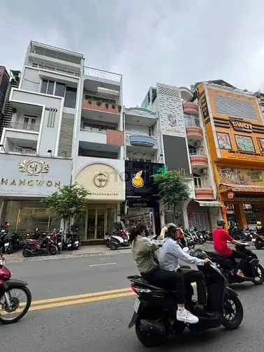 6058208 ảnh đại diện 1