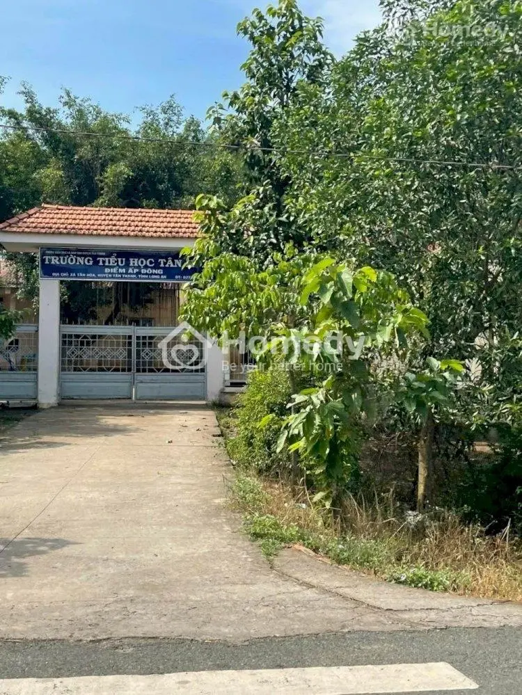 Bán Đất 1696M2 Có 139M2 Thổ,19Mx89M,Mặt Tiền Đt829 Tân Thạnh Long An Cách Tiểu Học Tân Hòa 200M
